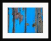 Paint on old door surface by Assaf Frank